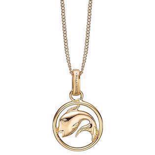 Christina Collect Topaz Feather Förgyllt Halsband